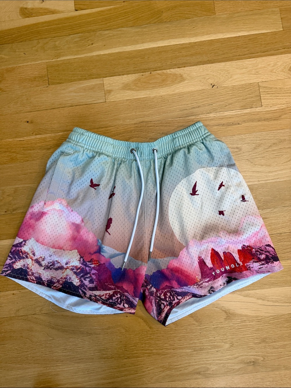 YoungLA Pink and Mint Scenic Athletic Shorts
